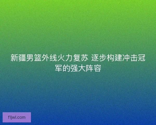新疆男篮外线火力复苏 逐步构建冲击冠军的强大阵容